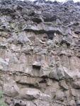 dscn4424.jpg