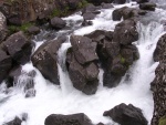 dscn4433.jpg