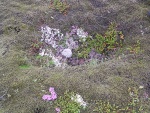 dscn4448.jpg