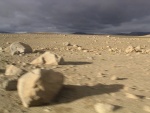 dscn4477.jpg