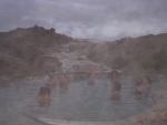 dscn4484.jpg