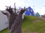 dscn4560.jpg