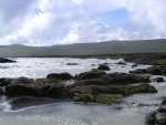 dscn4581.jpg