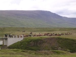 dscn4595.jpg