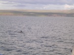 dscn4608.jpg