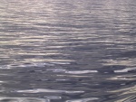 dscn4624.jpg