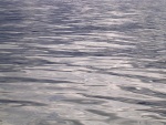 dscn4625.jpg