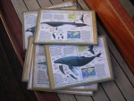 dscn4628.jpg