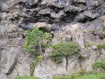 dscn4656.jpg