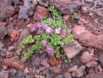 dscn4675.jpg