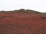 dscn4678.jpg