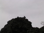 dscn4760.jpg