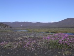 dscn4829.jpg
