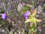 dscn4854.jpg