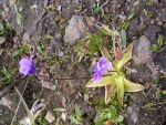 dscn4855.jpg