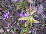 dscn4856.jpg