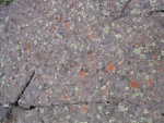 dscn4861.jpg