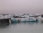dscn4869.jpg