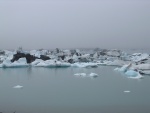 dscn4876.jpg