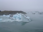 dscn4877.jpg