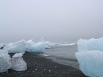 dscn4879.jpg