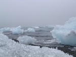 dscn4881.jpg