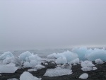 dscn4884.jpg