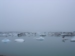dscn4887.jpg