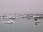dscn4889.jpg