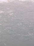 dscn4895.jpg