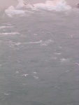 dscn4896.jpg