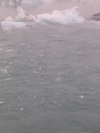 dscn4897.jpg