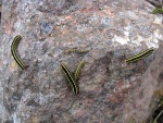 dscn4924.jpg