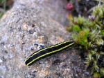 dscn4926.jpg
