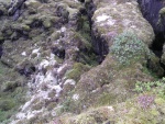 dscn4941.jpg