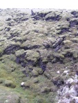 dscn4942.jpg