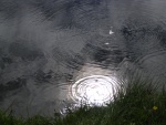dscn4966.jpg
