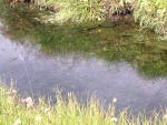 dscn4969.jpg