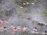 dscn5002.jpg