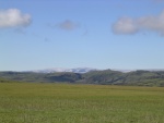 dscn5037.jpg