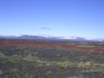 dscn5047.jpg