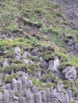 dscn5057.jpg