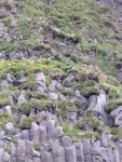 dscn5058.jpg