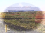fscn5049.jpg