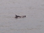 rscn4641.jpg