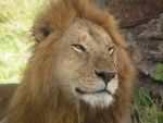 Highlight for Album: Kenya 2007