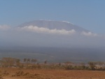 Highlight for Album: Amboseli