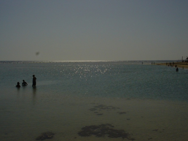 Bassa marea