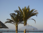Palme ed ombrelloni