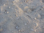 La sabbia del deserto
